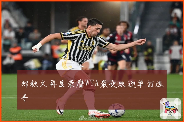 郑钦文再度荣膺WTA最受欢迎单打选手