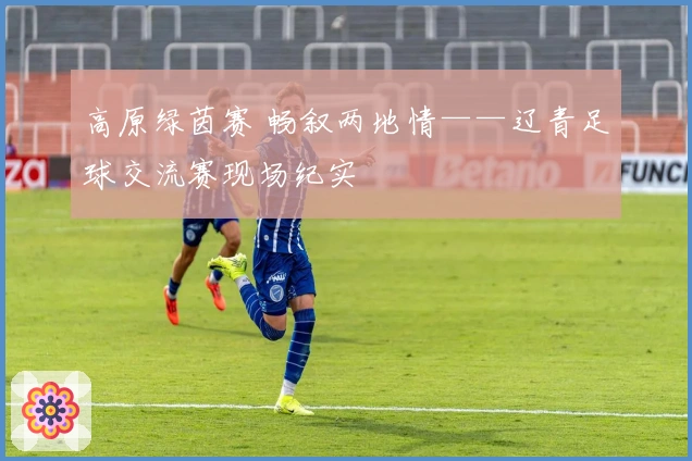 高原绿茵赛 畅叙两地情——辽青足球交流赛现场纪实