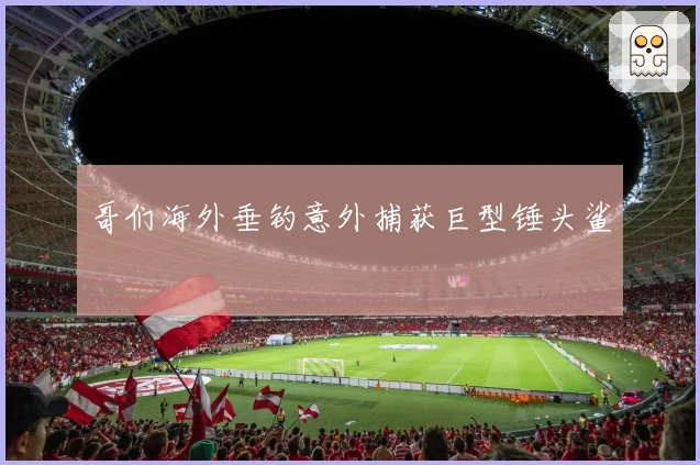 哥们海外垂钓意外捕获巨型锤头鲨